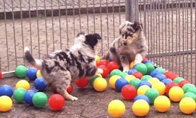 Gino und Lilly 