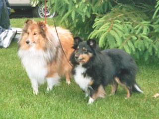 Die Eltern Joyce und Dusty
