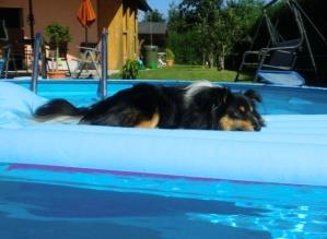 Entspannung pur im eigenen Pool