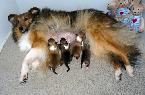 Der erste Tag ist geschafft.