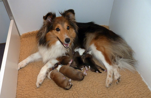 Der erste Tag ist geschafft.